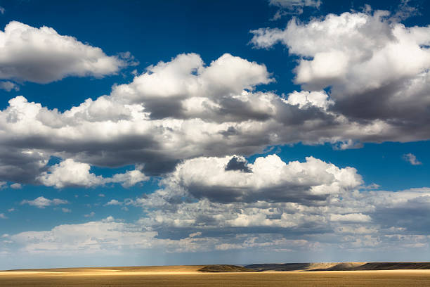 Mongolian Ger (Yurt) and Landscape in Gobi Desert\nGobi, Mongolia