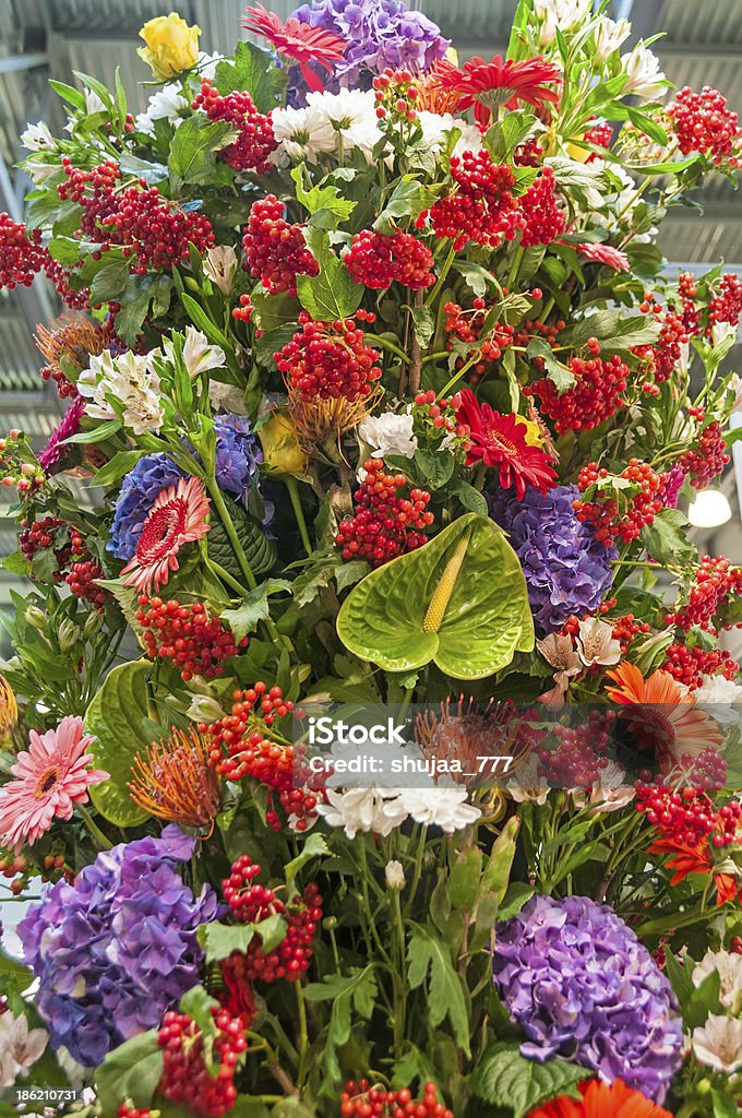 I fiori colorati - Foto stock royalty-free di Affettuoso