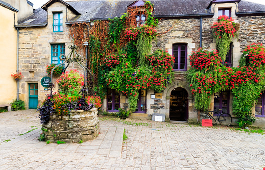 Step into the timeless charm of Rochefort-en-Terre, as captured in this photograph that unveils the picturesque beauty of this medieval village. Nestled in the heart of Brittany, the cobblestone streets wind through a tapestry of half-timbered houses adorned with vibrant flowers, creating a scene straight out of a fairytale. The warm hues of the stone facades harmonize with the surrounding greenery, while window boxes burst with blooms, adding a touch of color to the historic architecture. Majestic towers and quaint storefronts line the narrow lanes, inviting exploration and evoking a sense of nostalgia for a bygone era. Rochefort-en-Terre, frozen in time, exudes a captivating allure that speaks to the rich history and enduring charm of this idyllic French village.