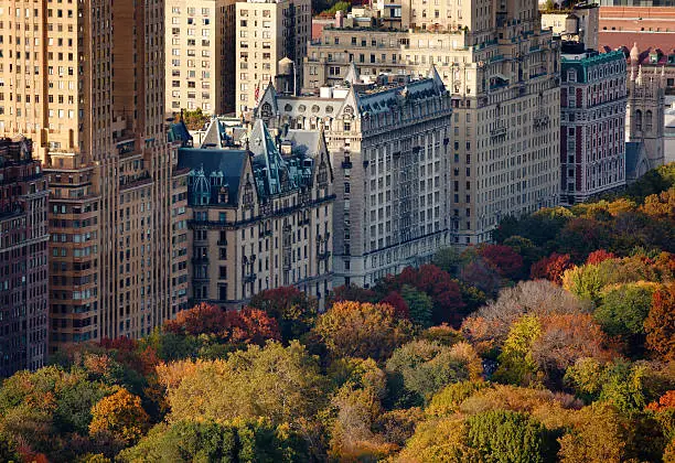 Afternoon light on Central Park's treetops and NYC buildings. Upper West Side building facades and tree colors lit by the autumn sun.