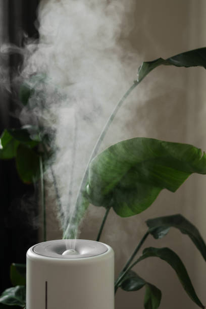 Ultrasonic diffuser, air purifier, humidifier releases stream of cold steam room for proper houseplant growth. Care hydration of plants in dry air. Aroma oil steam aromatherapy. Body health treatment