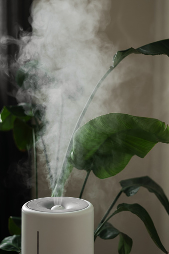 Ultrasonic diffuser, air purifier, humidifier releases stream of cold steam room for proper houseplant growth. Care hydration of plants in dry air. Aroma oil steam aromatherapy. Body health treatment.