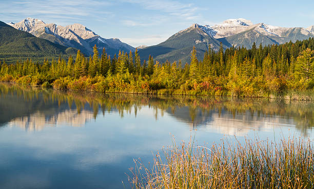 istock Vermillion Lake Shoreline 186214439