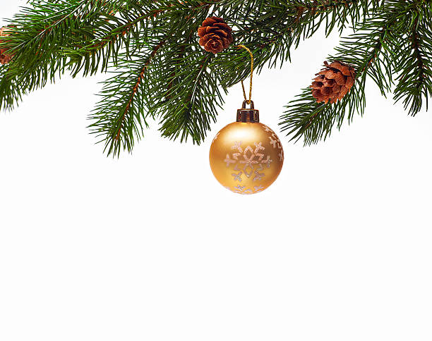 istock Christmas ball on green spruce branch 186214914