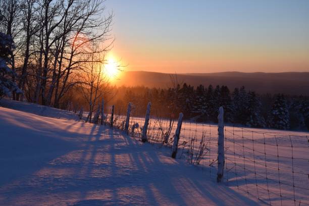 istock Un matin froid 1862164851