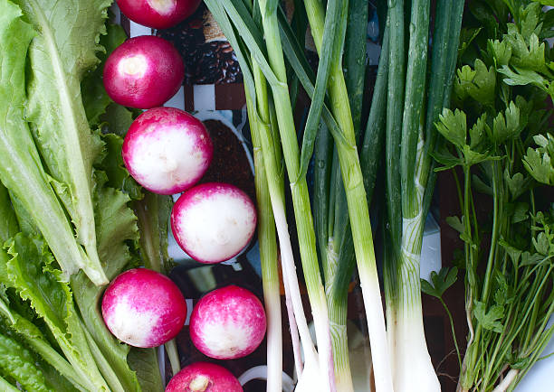 istock Plate with different food. Green onion close-up 186218241