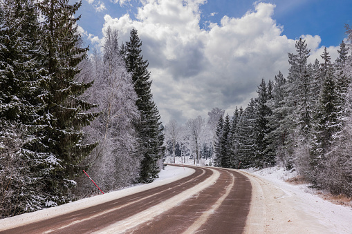 Beautiful view of a winter forest with an asphalt road set against a backdrop of a blue sky with white clouds.