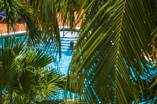 A top-down view through palm branches of a woman swimming in an outdoor pool within the hotel premises. Miami Beach. USA.