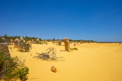 Pinnacles Desert in Western Australia, Nambung National Park, yellow desert, rocks on sand