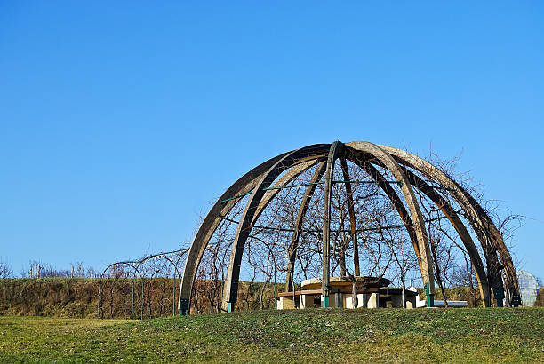 cúpula de madera en el vino al jardín - sehenwürdigkeit fotografías e imágenes de stock