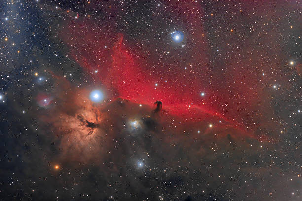 nébuleuse à tête de cheval et flamme orion constellation - horsehead nebula photos et images de collection