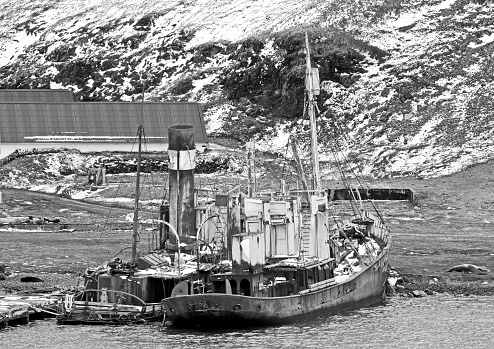 Shipwrecks at Grytviken