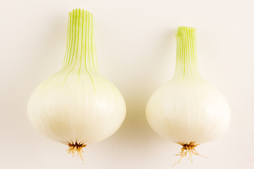 two onions on white background