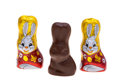chocolate bunnies isolated on white background