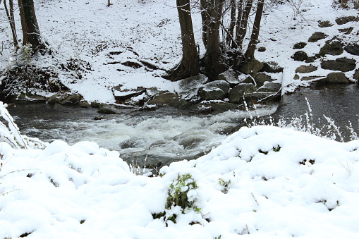 A mountain stream in motion in the middle of a snow-covered forest