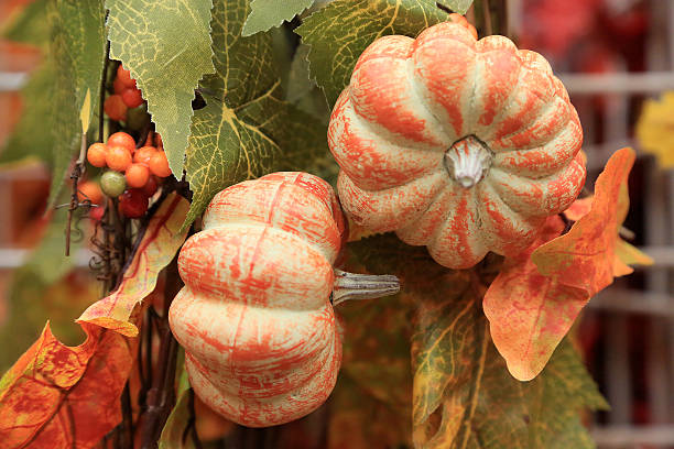 Cornucopia and Gourds stock photo