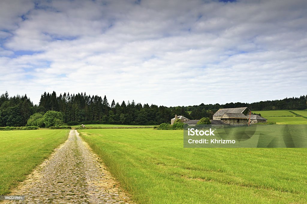 Track and farm at Cartmel Farm buildings and a track running through fields in Cartmel,a village in Cumbria, England Cartmel Stock Photo