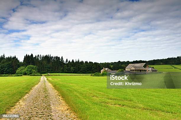 Track And Farm At Cartmel Stock Photo - Download Image Now - Cartmel, England, Agricultural Field