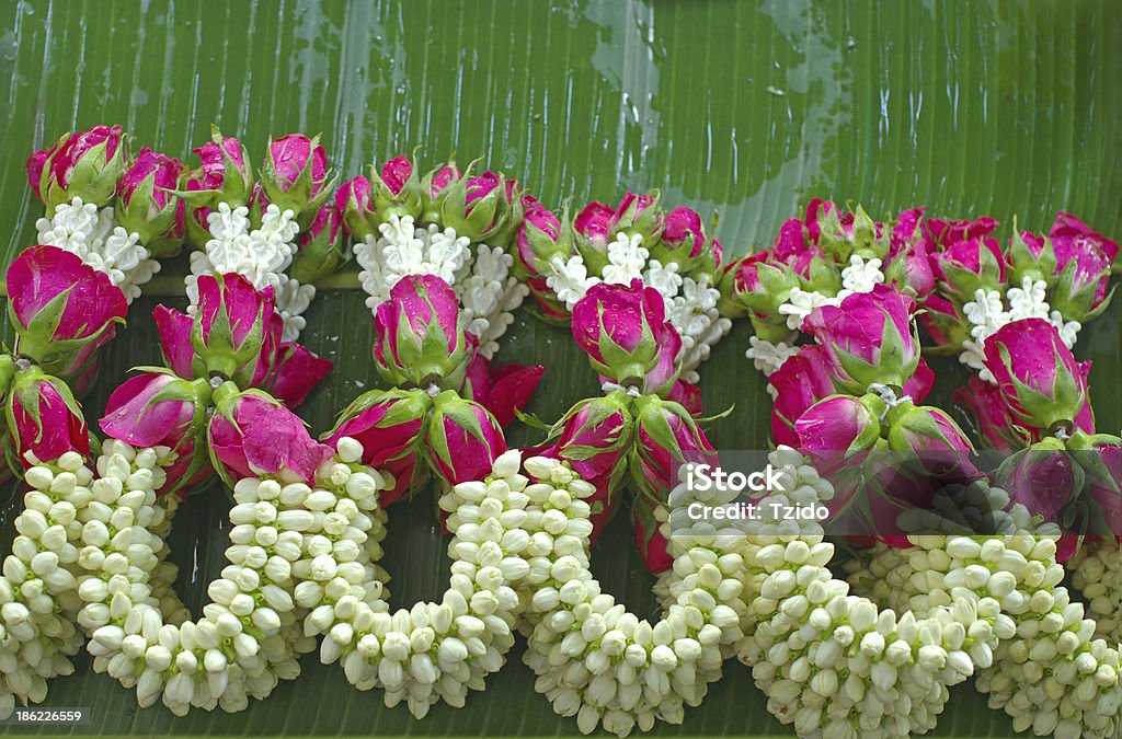 재스민 화환과 핑크 로즈 on 바나나 리프 - 로열티 프리 금잔화-온대 식물 스톡 사진