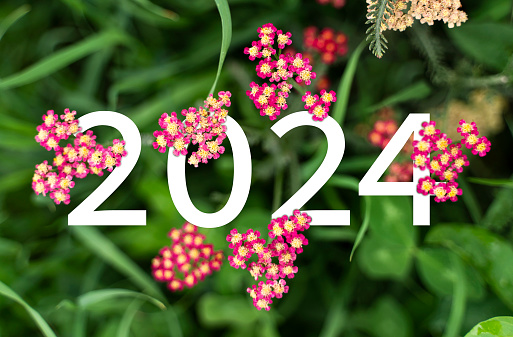 2024 New year white text hidden in red and yellow flowers.