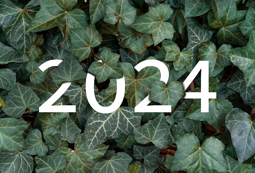 2024 New year white text hidden in green leaves