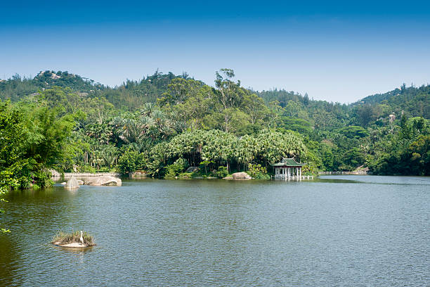 istock Xiamen botanical garden landscape 186228447