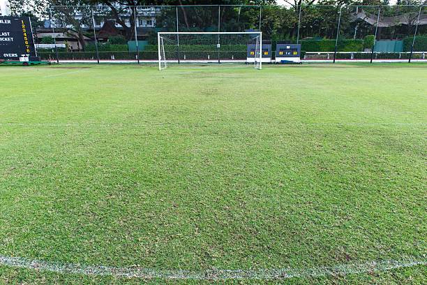 istock Traditional green grass soccer field with white chalk line 186228757