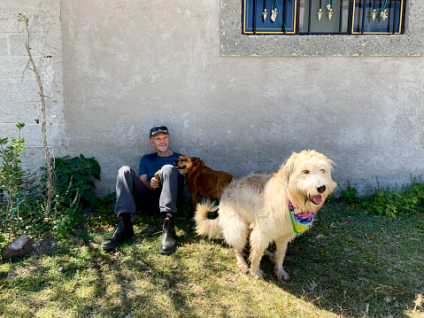 A middle-aged man resting against a wall during a walk with his two dogs