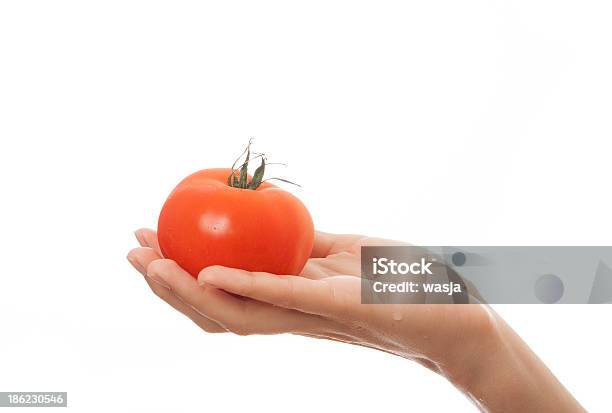 トマトを片手に白背景 - みずみずしいのストックフォトや画像を多数ご用意 - みずみずしい, カットアウト, クローズアップ