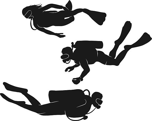 ilustraciones, imágenes clip art, dibujos animados e iconos de stock de vector de buzos - silhouette swimming action adult