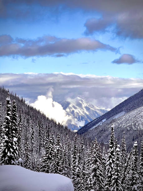 el país de las maravillas de invierno - valhalla provincial park fotografías e imágenes de stock