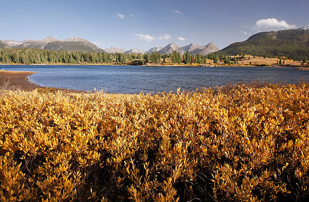 istock Molas lake and Needle mountains, Weminuche wilderness, Colorado 186231332