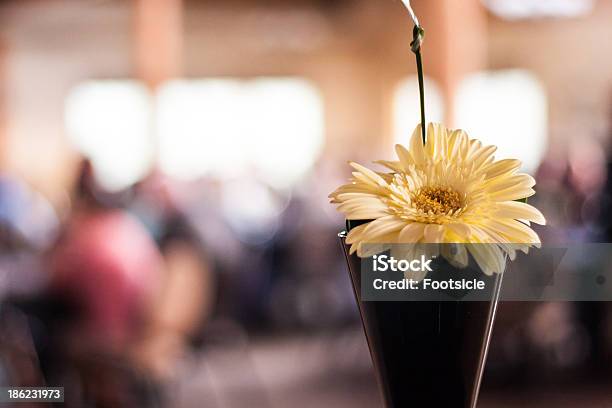 Daisy Em Uma Jarra - Fotografias de stock e mais imagens de Amarelo - Amarelo, Artigo de Decoração, Bouquet