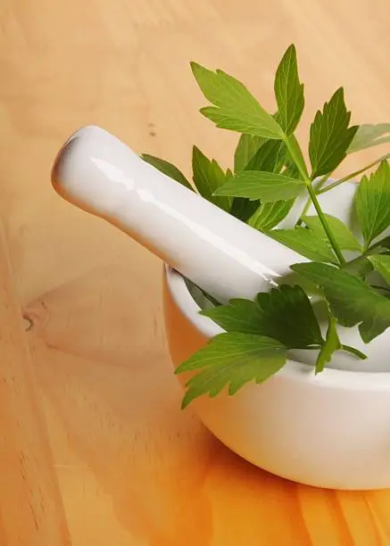 fresh lovage in ceramic mortar on a table