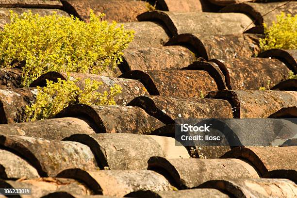 Foto de Teto Feitos De Azulejos Com Pequenas Plantas De Cultivo e mais fotos de stock de Acabado