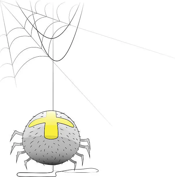 Vector illustration of Vector spider with a web