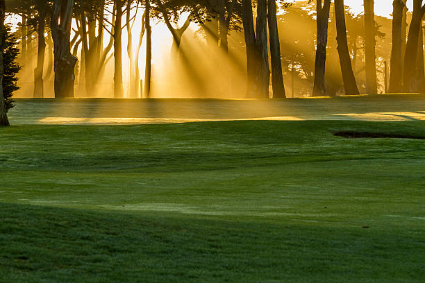 niedrigen winkel aufnahme des golfplatzes bei sonnenaufgang - golf golf course sunrise morning stock-fotos und bilder