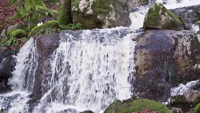 Water flowing over rocks in woodland