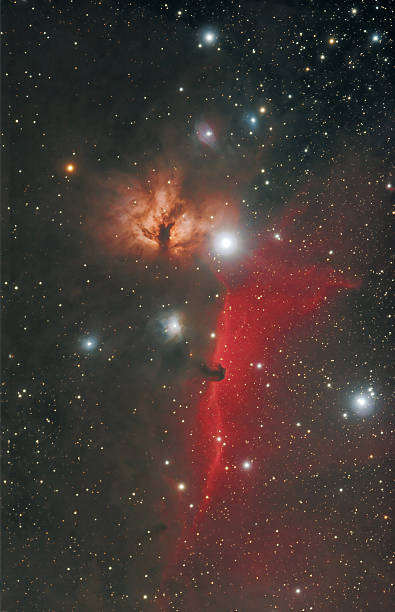 horsehead i ognia mgławica w orion constellation - horsehead nebula zdjęcia i obrazy z banku zdjęć