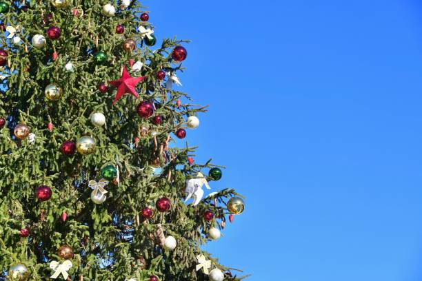 istock Outdoor Christmas tree with blue sky background 1862353983