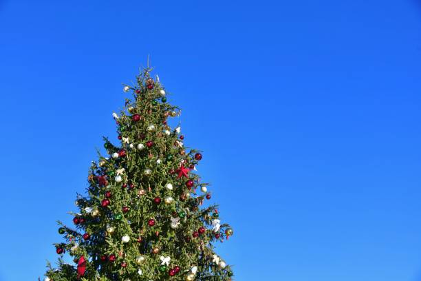 istock Outdoor Christmas tree with blue sky background 1862357078