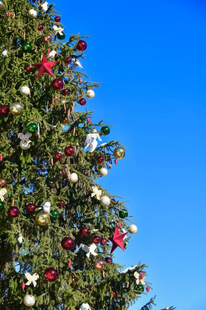 istock Outdoor Christmas tree with blue sky background 1862357615
