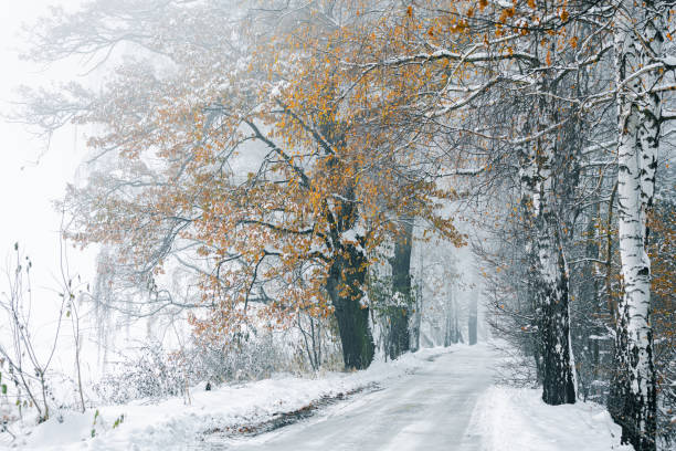 istock Winter alley at dawn 1862358645