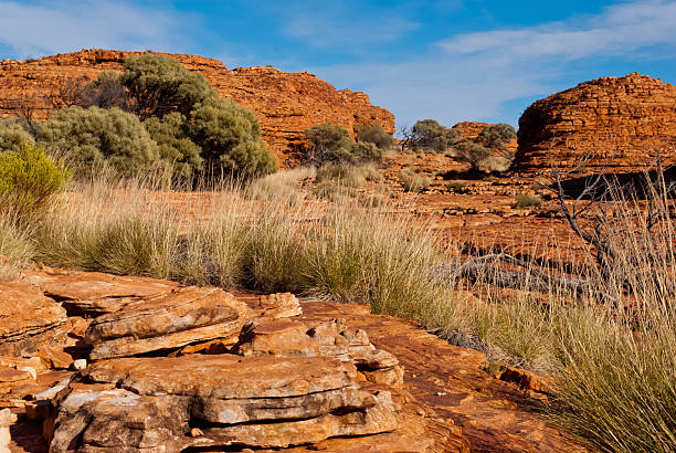 istock Kings Canyon landscape, Northern Territory, Australia8 186235920