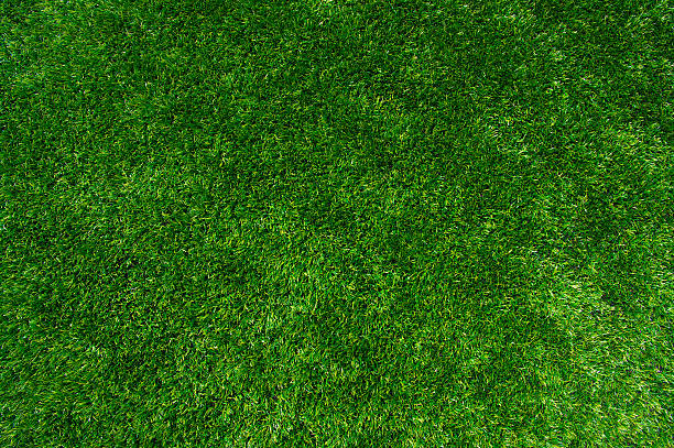 Verde grass - foto de stock