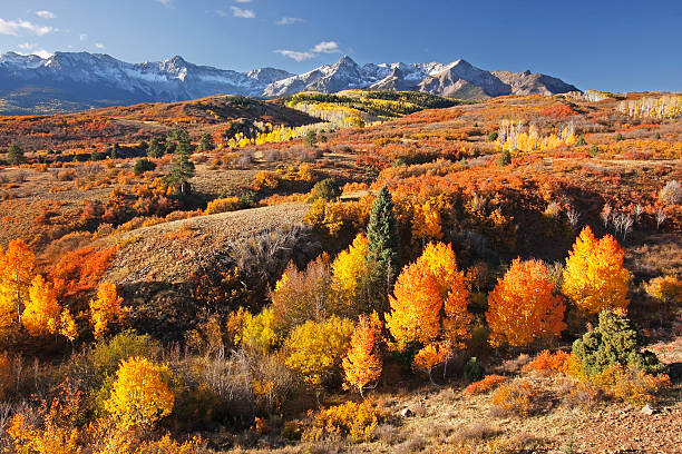 dallas divida, floresta nacional uncompahgre, colorado - colorado road mountain landscape - fotografias e filmes do acervo