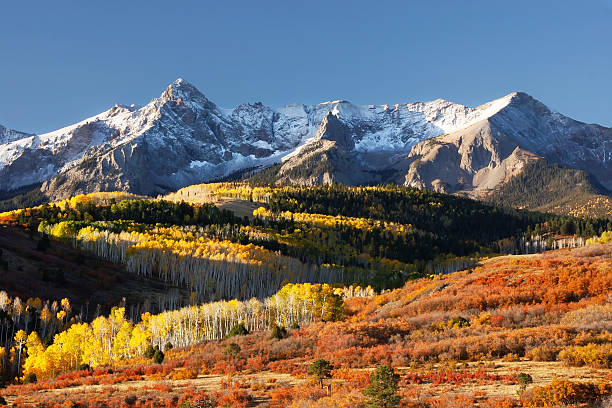 istock Dallas Divide, Uncompahgre National Forest, Colorado 186236745