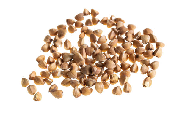 istock buckwheat on white isolated background 1862367654