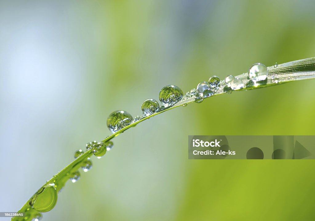 Gotas de agua - Foto de stock de Agua libre de derechos