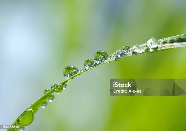 Gotas De Agua Foto de stock y más banco de imágenes de Agua - Agua, Agua potable, Bebida fría